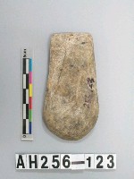 藏品(磨製舌刃石斧)的圖片